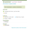 Photo d'un Lumen Gold Port retombant