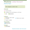 Photo d'un Little Fenna® Peu exigeant