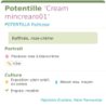 rose-crème