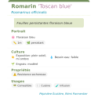 Fiche descriptive de Romarin Toscan blue