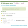  parfumé