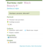 Photo d'un Black Beauty® Ornemental