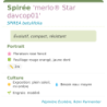 Fiche descriptive de Spirée merlo Star davcop01