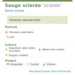  mellifère