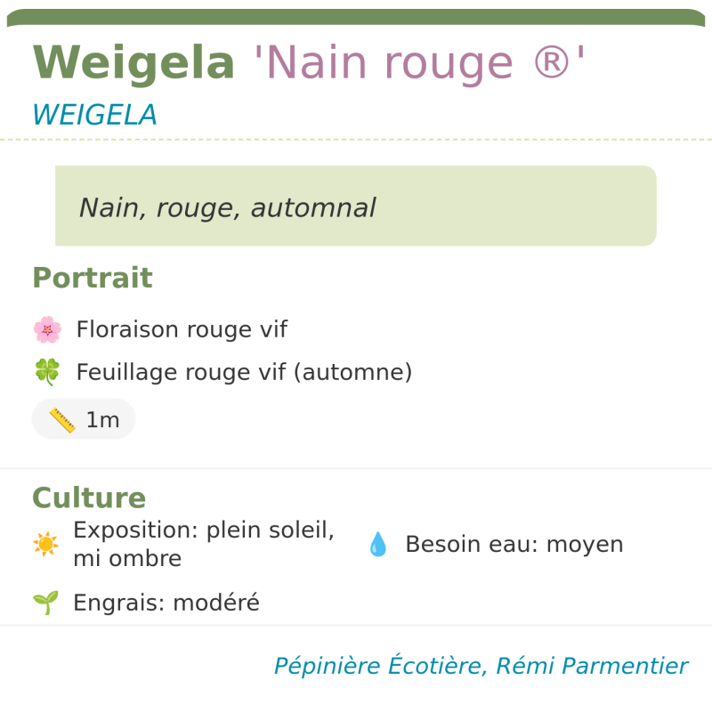 Fiche descriptive de Weigela Nain rouge