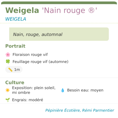 Fiche descriptive de Weigela Nain rouge