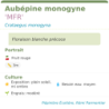 Fiche descriptive de Aubépine monogyne MFR