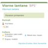 Fiche descriptive de Viorne lantane BPS(1)