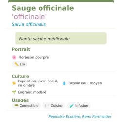  mellifère