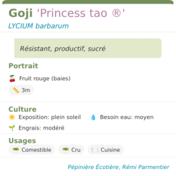  sucré