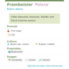 Fiche descriptive de Framboisier Polona