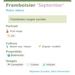 Fiche descriptive de Framboisier September