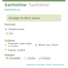 Fiche descriptive de Santoline Santoline