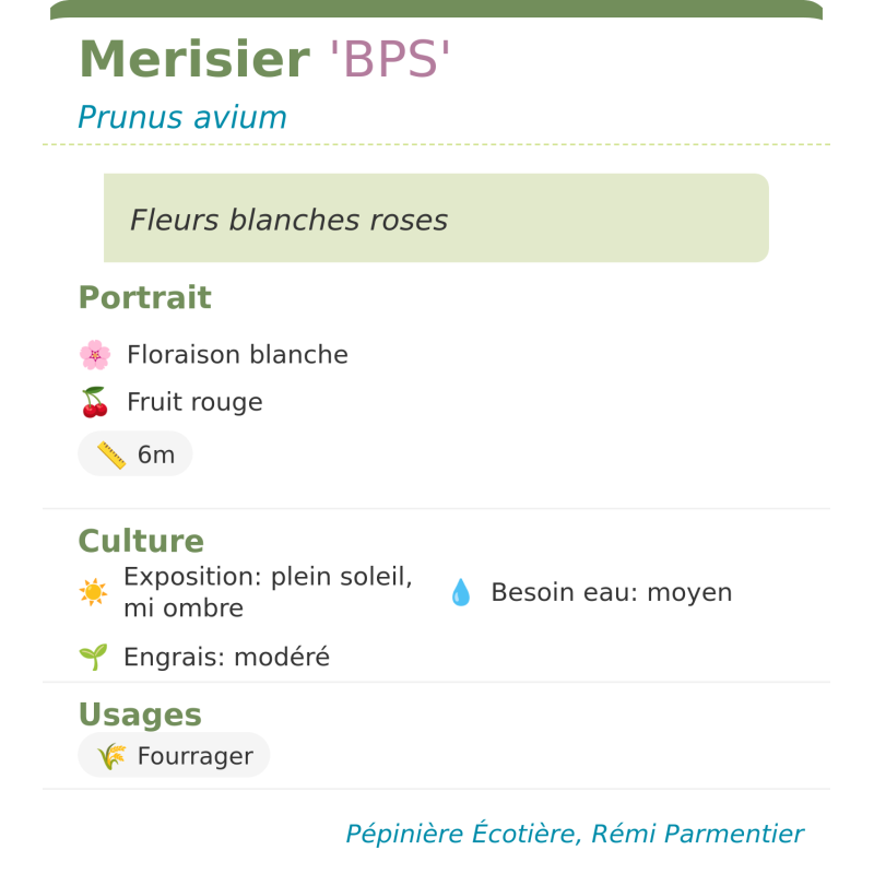 Fiche descriptive de Merisier BPS