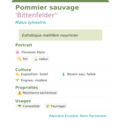 Fiche descriptive de Pommier sauvage Bittenfelder