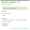 Photo d'un Genet Terrain sec