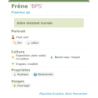 Fiche descriptive de Frêne BPS