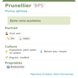 Fiche descriptive de Prunellier BPS