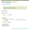 Fiche descriptive de Prunellier BPS