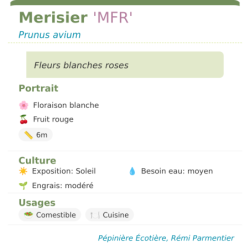 Fiche descriptive de Merisier MFR