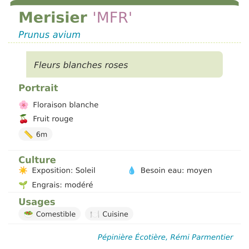 Fiche descriptive de Merisier MFR