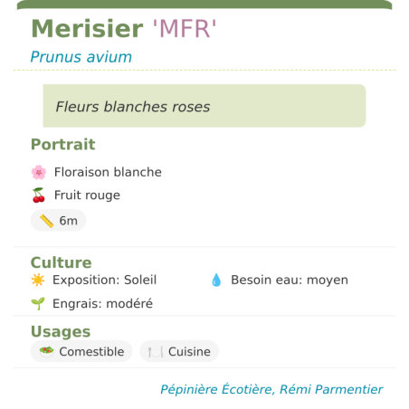 Fiche descriptive de Merisier MFR