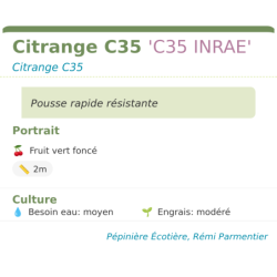 Fiche descriptive de Citrange C35 C35 INRAE