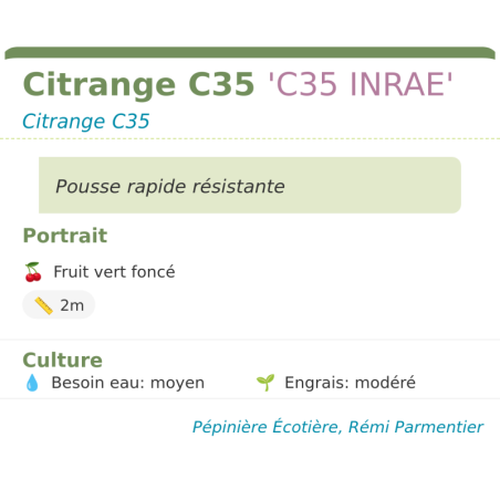 Fiche descriptive de Citrange C35 C35 INRAE