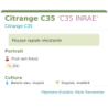 Fiche descriptive de Citrange C35 C35 INRAE