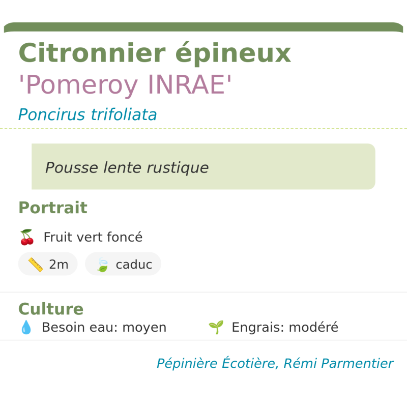 Fiche descriptive de Citronnier épineux Pomeroy INRAE