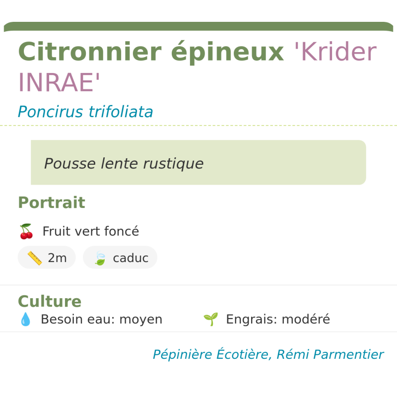 Fiche descriptive de Citronnier épineux Krider INRAE