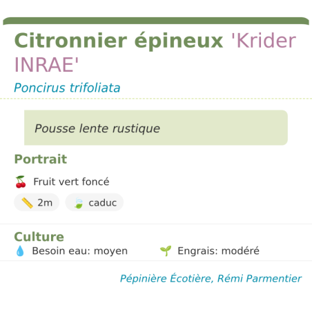 Fiche descriptive de Citronnier épineux Krider INRAE