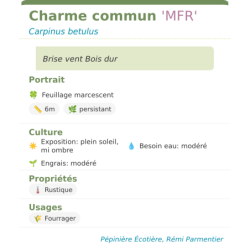 Fiche descriptive de Charme commun MFR