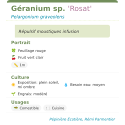 Fiche descriptive de Géranium sp Rosat