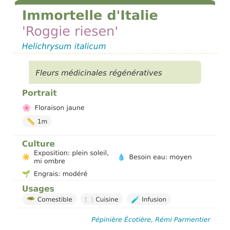 Fiche descriptive de Immortelle dItalie Roggie riesen Fiche descriptive de Immortelle dItalie Roggie riesen