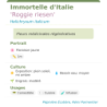 Fiche descriptive de Immortelle dItalie Roggie riesen
