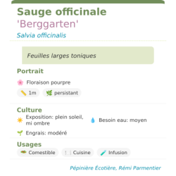  mellifère