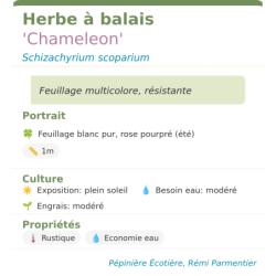  résistante