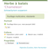  résistante