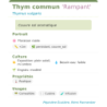 Fiche descriptive de Thym commun Rampant