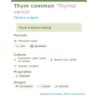 Fiche descriptive de Thym commun Thymol varico