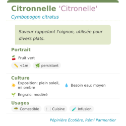 Fiche descriptive de Citronnelle Citronelle