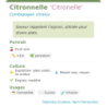 Fiche descriptive de Citronnelle Citronelle