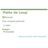 Fiche descriptive de Patte de Loup