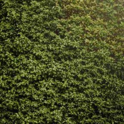 Brise vente / Brise vue - Kit Haie 40m