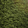 Brise vente / Brise vue - Kit Haie 40m