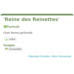 Fiche descriptive de Reine des Reinettes