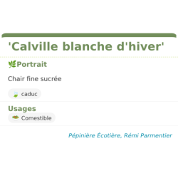 Fiche descriptive de Calville blanche dhiver