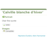 Fiche descriptive de Calville blanche dhiver