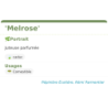 Fiche descriptive de Melrose
